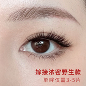 Swan 睫毛 05款 Dark 超密嫁接睫毛自然假睫毛女单簇套装