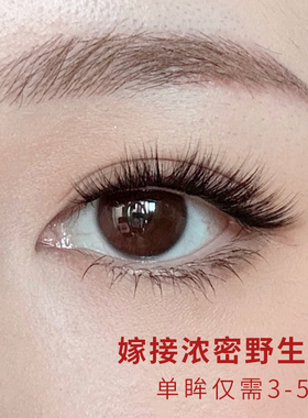 Dark Swan 睫毛 05款 超密嫁接睫毛自然假睫毛女单簇套装