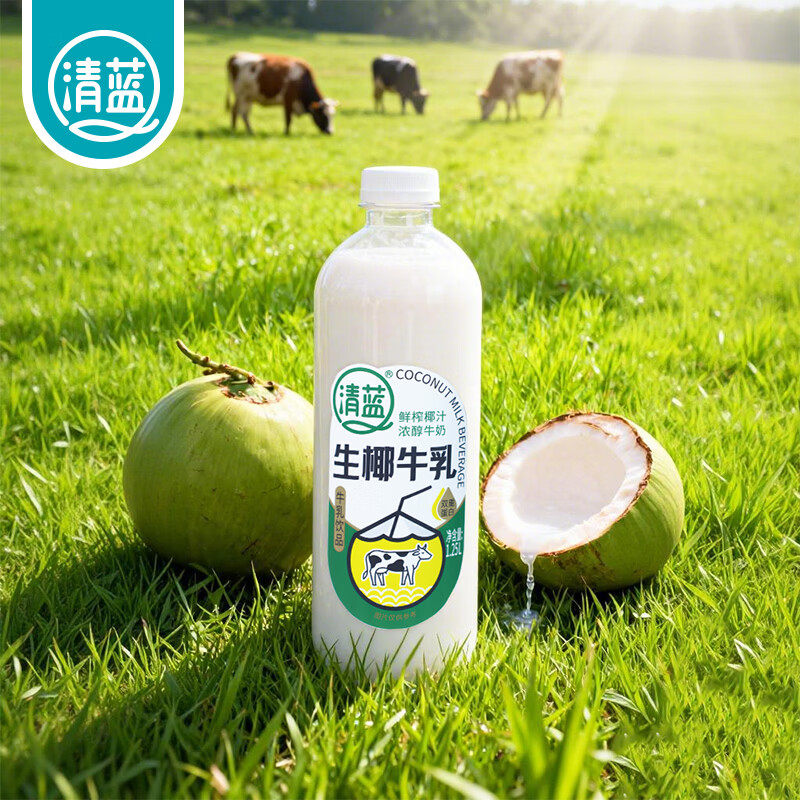 清蓝 生椰牛乳1.25L*6瓶大瓶装鲜榨椰汁牛奶椰奶厚椰乳营养早餐奶