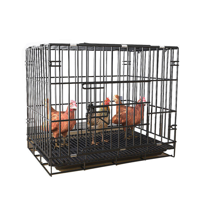 鸡笼子家用室外不锈钢大号室内小型养鸡笼子阳台无臭家庭养小鸡笼