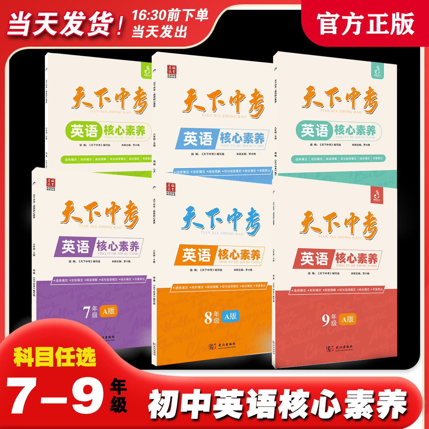 天下中考英语核心素养七八九年级中学教辅