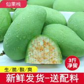 新鲜生吃芒果酸脆芒果青芒果当季 包邮 水果四季 芒酸嘢孕妇水果3斤