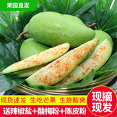 现摘现发新鲜酸脆生吃芒果当季 水果芒果芽广西青芒果酸腌制芒5斤