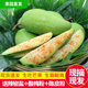 现摘现发新鲜酸脆生吃芒果当季 水果芒果芽广西青芒果酸腌制芒5斤