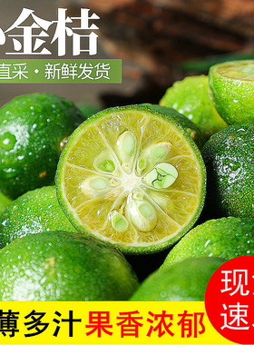 海南金桔柠檬应季小青酸青柠批发包邮多汁供应当季水果奶茶店