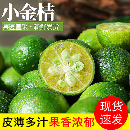 海南金桔柠檬应季小青酸青柠批发包邮多汁供应当季水果奶茶店
