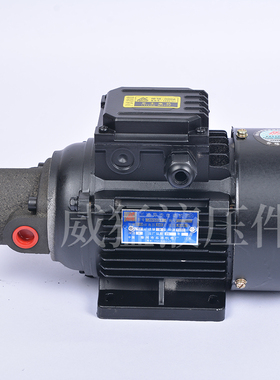 三角齿轮油泵RHB-2.5/1/1.5/4/3.15JZ120WJW5624润滑泵电机组三相