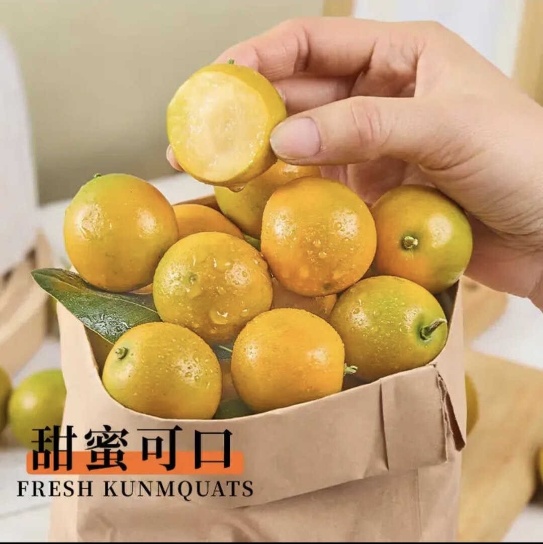 融安金桔第三代脆蜜金桔滑皮金桔金柑送礼水果年货礼盒独立糖果袋