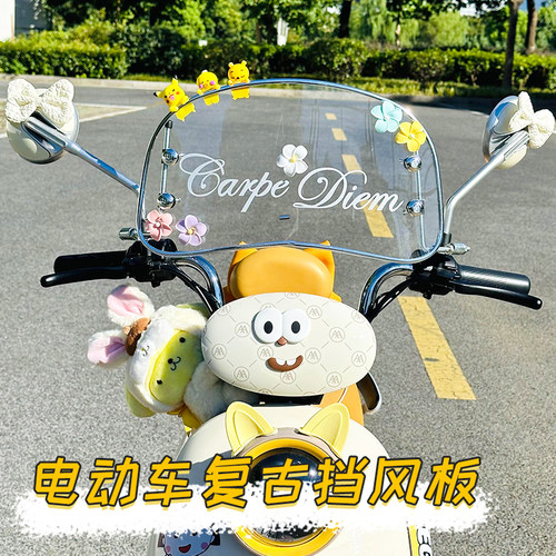 电动车挡风板装饰2024