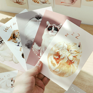 可爱卡通插画喵星人明信片30张猫咪和好天气系列拍照背景卡片萌宠猫猫节日礼物手写祝福贺卡墙贴装饰手账打底
