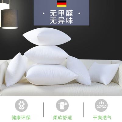 pillowsinnerbackcushion