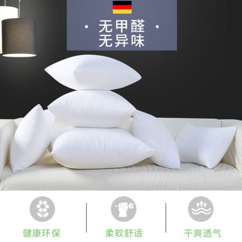 pillowsinnerbackcushion
