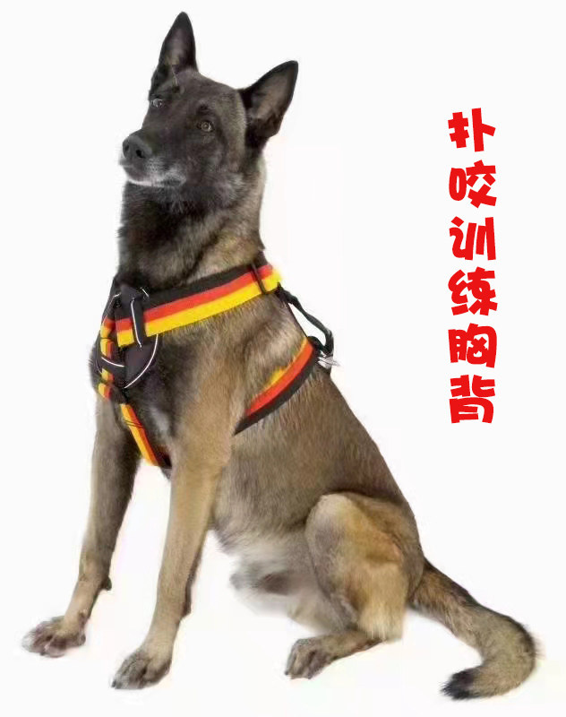 狗套装胸背金毛德牧马犬工作犬扑咬胸背中大型犬遛狗防扑咬用胸背
