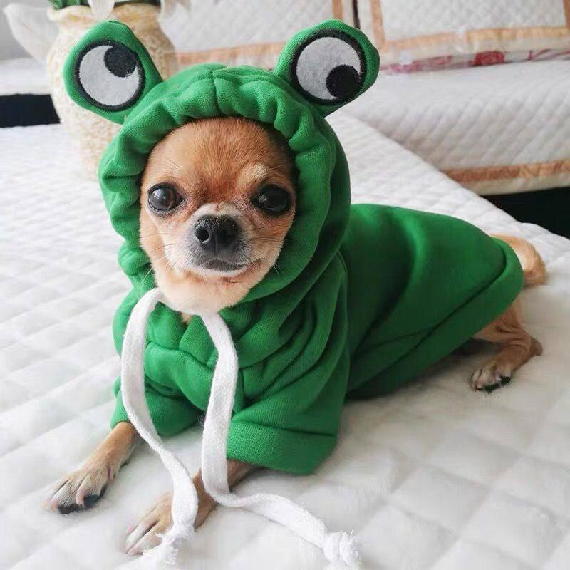 狗狗衣服批发秋冬小型犬搞笑宠物用品泰迪比熊博美防掉毛宠物卫衣