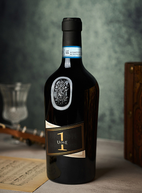 唯意一号X红葡萄酒UONE西西里岛黑达沃拉意大利红酒一号乐章