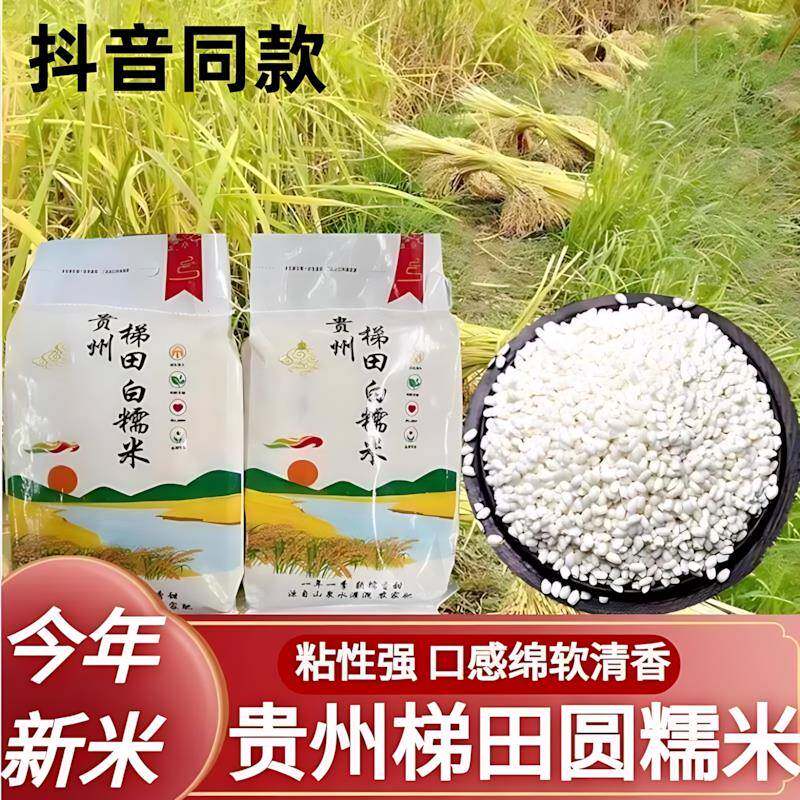 贵州梯田圆糯米白农家打糍粑2025年香甜包粽子软新米糯江米土特产