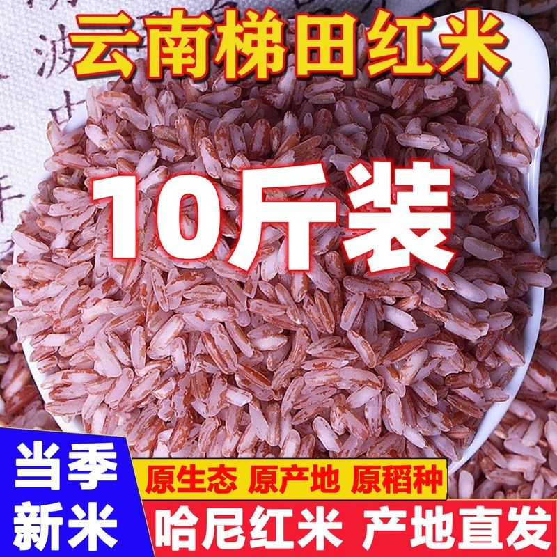 云南哈尼梯田红米2024年新米活水种植大米香软煮粥粗粮营养早餐米