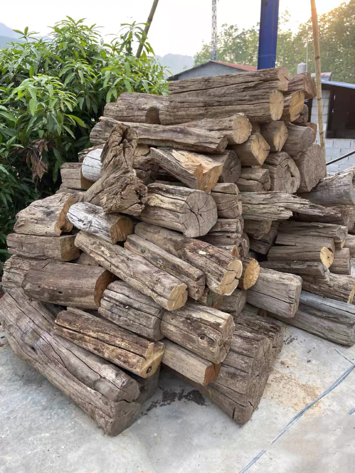 缅甸柚木干透料原木料材柚木风化老料干料长70~200做老船木工艺品