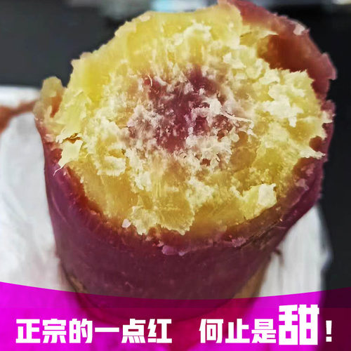 一点红番薯冰激淋沙地红薯苕山芋