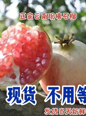 蒙自产地石榴旗舰店当季水果新鲜