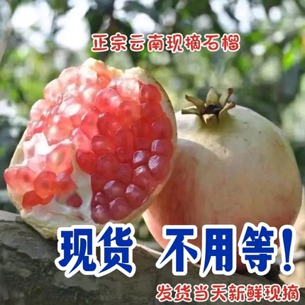 蒙自产地石榴旗舰店当季水果新鲜