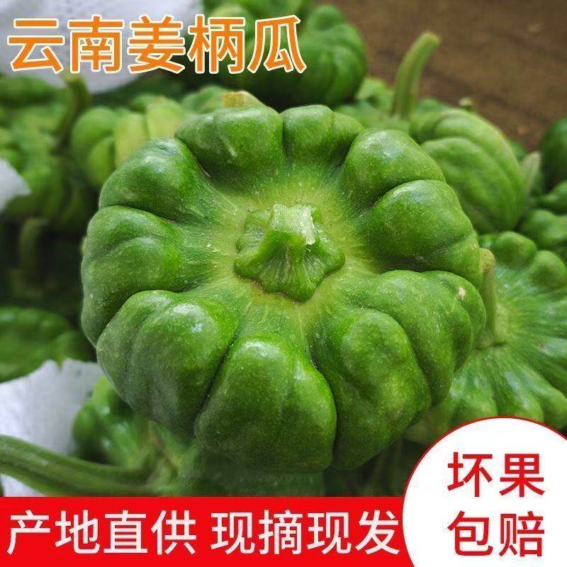 云南姜柄瓜新鲜现摘农家自种小麦瓜绿瓜小嫩南瓜绿栗面瓜5斤包邮