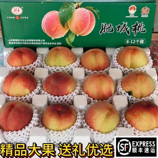 顺丰山东泰安肥城桃脆甜大桃新鲜水果现摘现发佛桃水蜜桃精品礼盒