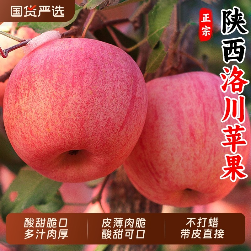 陕西正宗洛川苹果产地直发新鲜水果当季脆甜一级红富士大果冰糖心,水产肉类/新鲜蔬果/熟食,苹果,淘宝优惠券,粉丝福利购,淘宝优惠卷