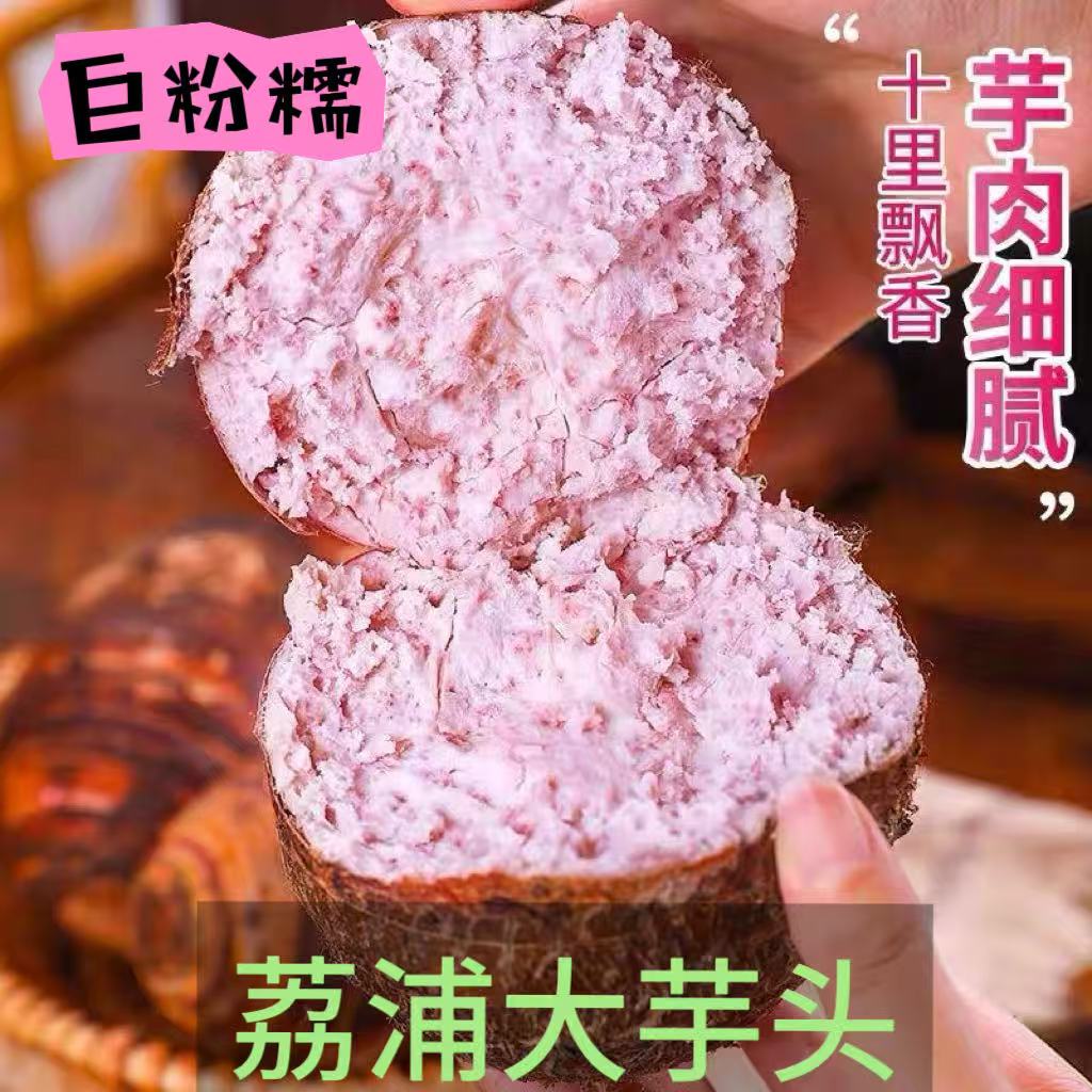 正宗广西特产荔浦市芋头旗舰店新鲜现挖大果粉糯香甜农家自种商用