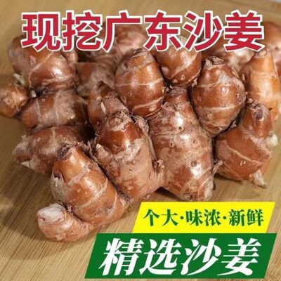 单念正宗沙姜新鲜包邮