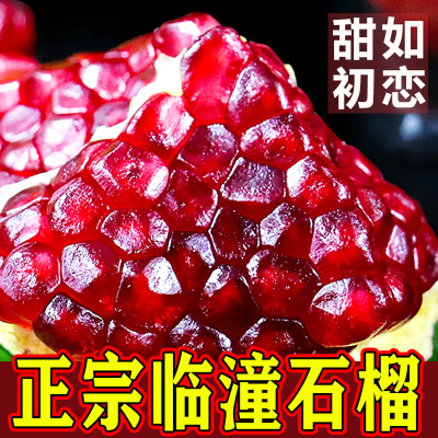 【顺丰】陕西临潼贵妃红软籽石榴酸甜特级软籽大籽石榴9枚礼盒装