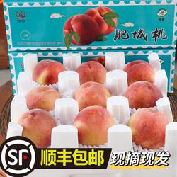 山东水蜜桃新鲜肥城肥桃当季孕妇儿童水果现摘现发特大圆蜜桃佛桃
