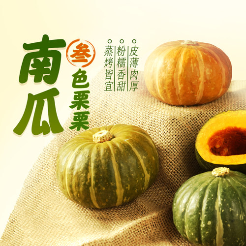 叁色栗栗南瓜三味变色板栗味贝栗干粉糯香甜金粉红小贝贝坏果包赔
