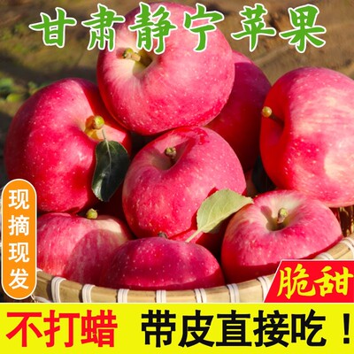 静宁苹果甘肃静宁现摘脆甜顺丰