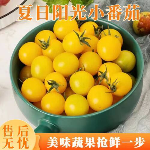 夏日孕妇小番茄小番茄千禧