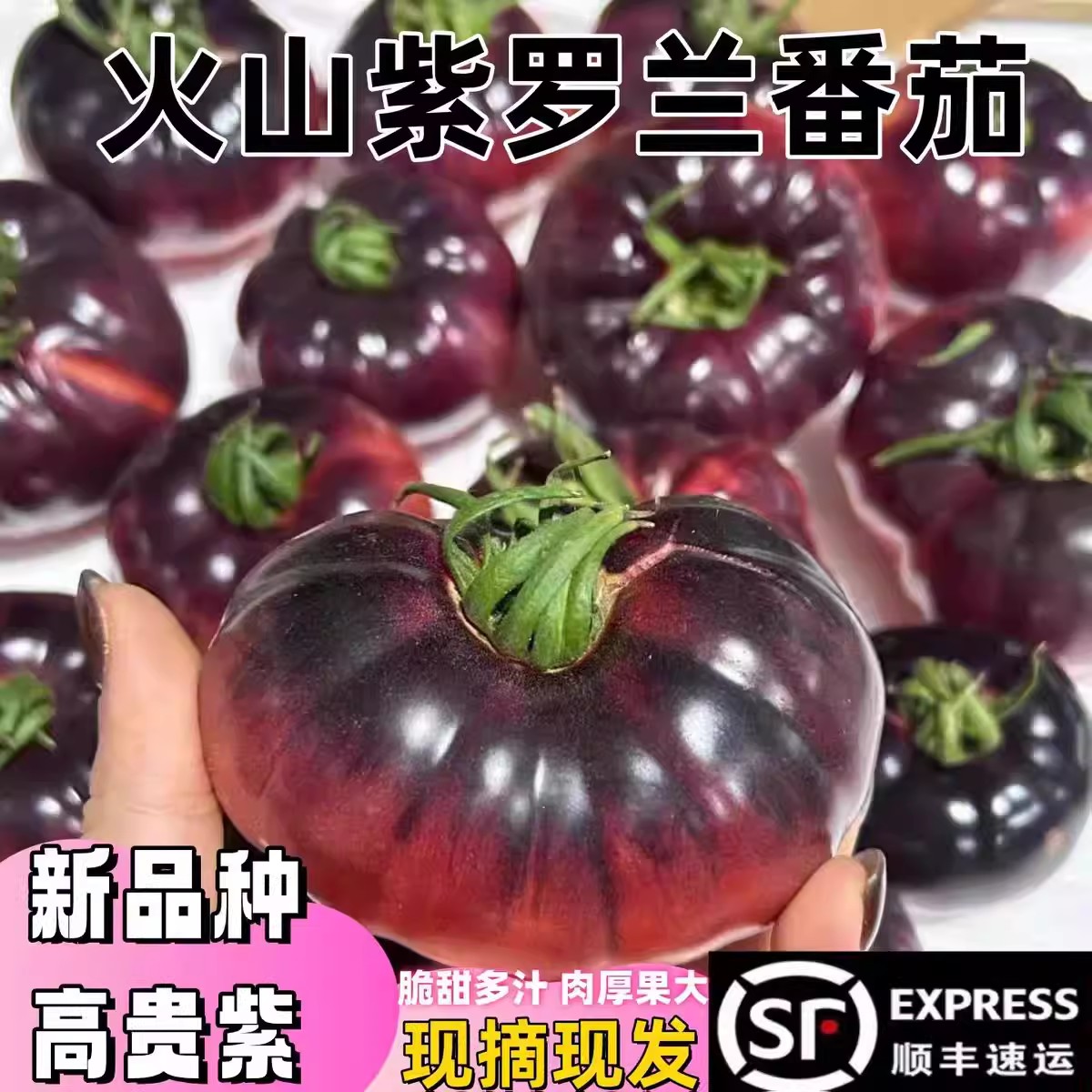 山东紫罗兰番茄新鲜现摘时令蔬菜丑番茄火山紫马蹄紫西红柿顺丰