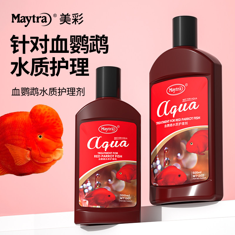 血鹦鹉鱼白点头洞蒙眼突水