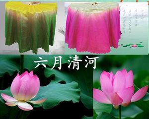 六月清荷扇子双面舞蹈扇渐变色加长扇一尺2飘