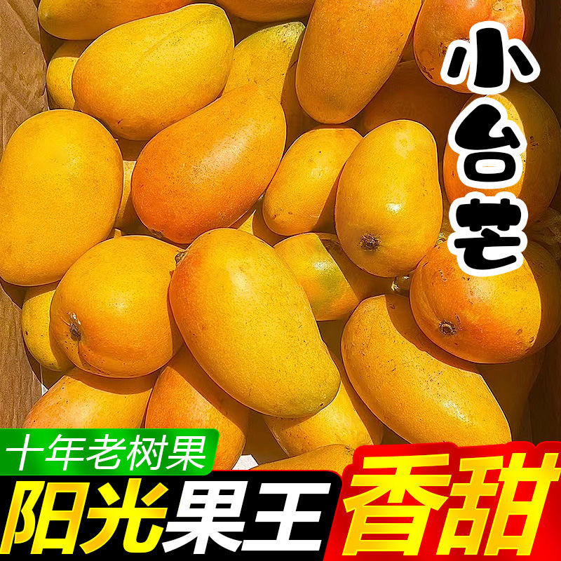 正宗小台农芒果应季当季新鲜热带水果现采现发口感爆甜3/5/9斤装