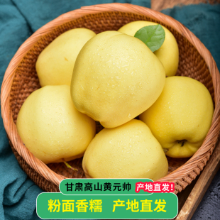 顺丰甘肃黄元 粉面大苹果金帅黄香蕉整箱10斤 帅苹果新鲜水果应当季