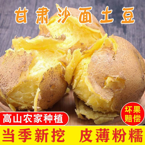 甘肃土豆沙面新鲜洋芋