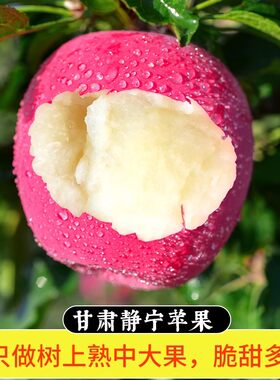 甘肃静宁80包邮新鲜水果