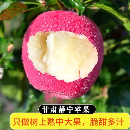 甘肃静宁苹果红富士新鲜水果脆冰糖心苹果整箱包邮甜孕妇包邮