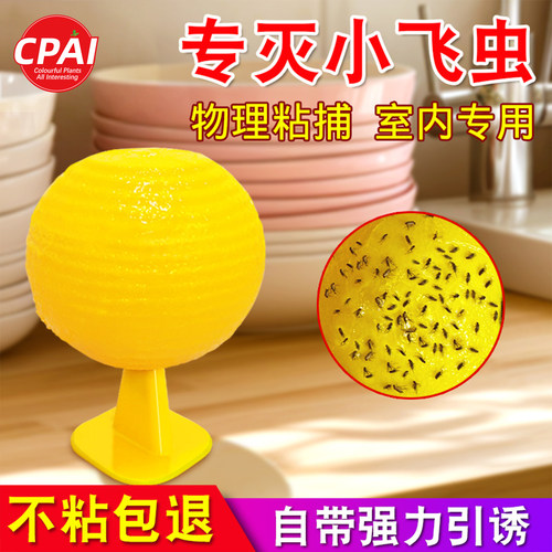 灭杀小飞虫神器果味色诱双重引诱