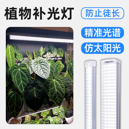 植物补光灯幼苗培育生长灯防徒长