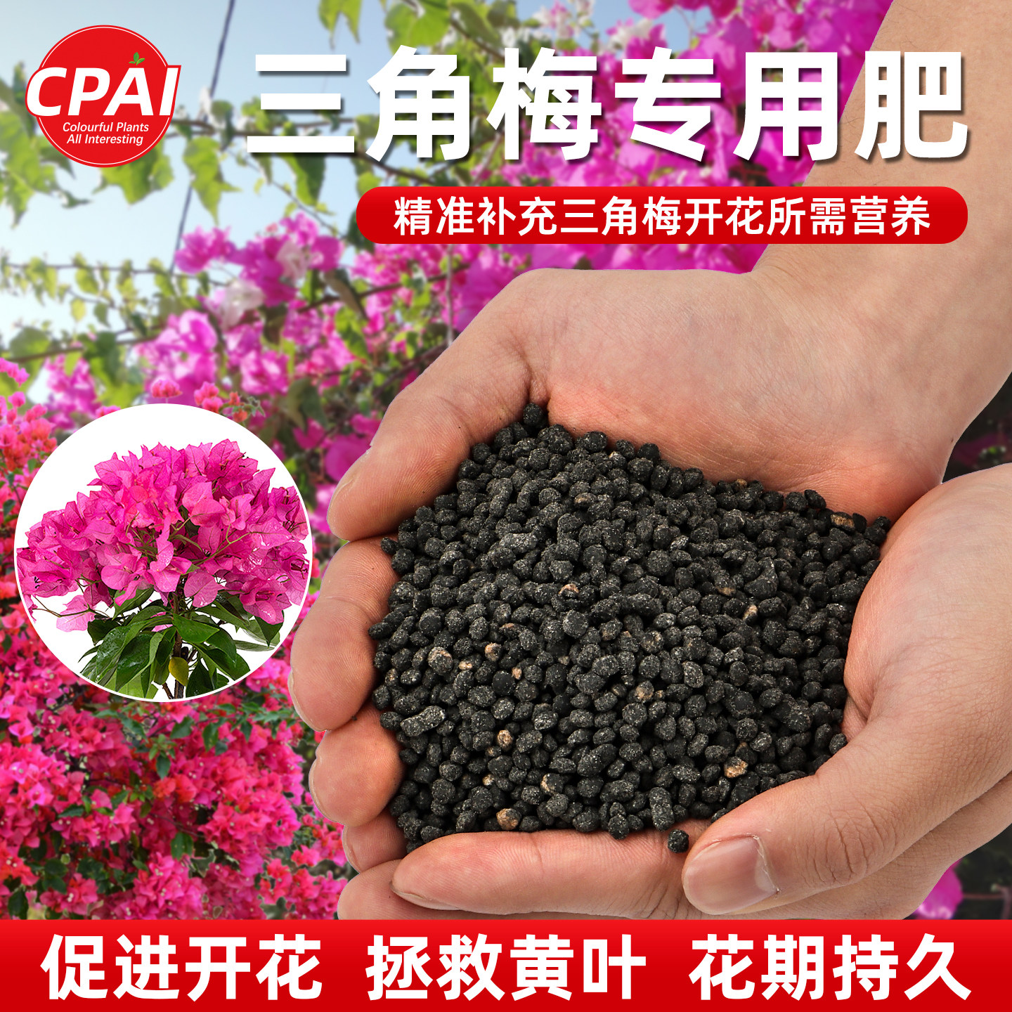 三角梅专用肥促开花爆花开花专用肥磷酸二氢钾肥料花卉专用复合肥