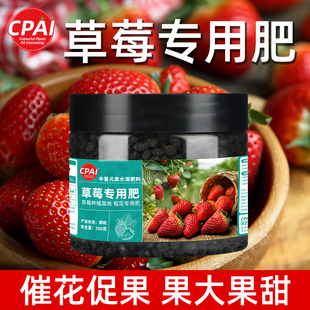 草莓专用肥家用肥料盆栽有机肥料植物营养液通用型坐果期促果增产