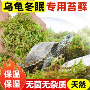 乌龟冬眠干苔藓爬宠冬眠孵化养殖专用神器苔藓窝青苔藓乌龟窝垫材