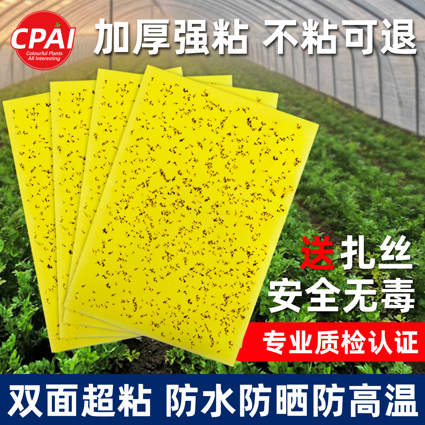 粘虫板黄板双面大棚强力粘蚊贴果园苍蝇诱粘剂小飞虫果蝇贴诱捕器