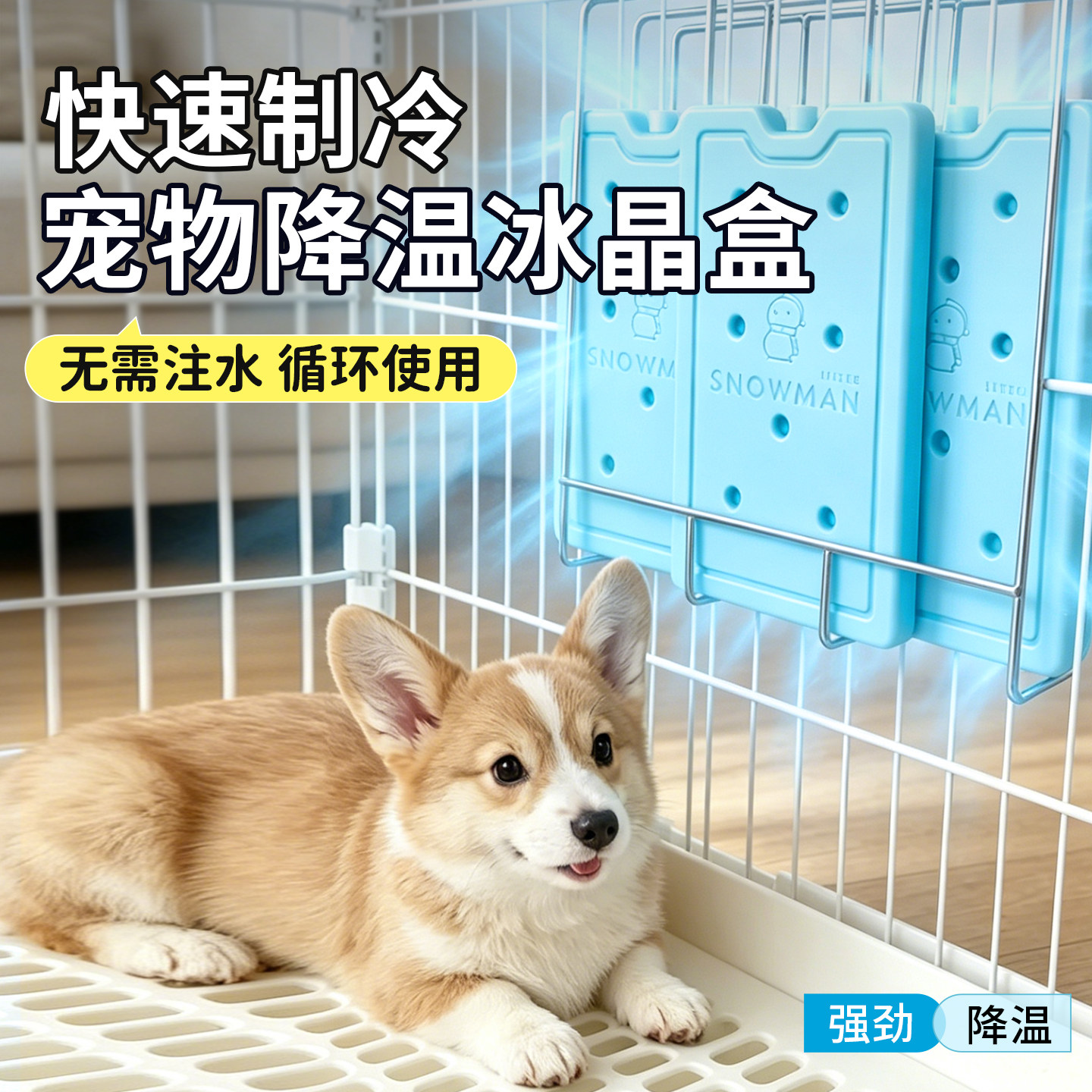 蓝冰冰盒宠物降温制冷冰板兔子仓鼠鹦鹉猫狗鸟笼夏天散热消暑神器